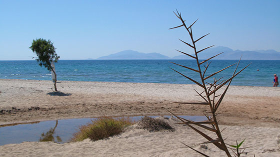 Sandy beach on the north shore 
 Surf spot near Marmari